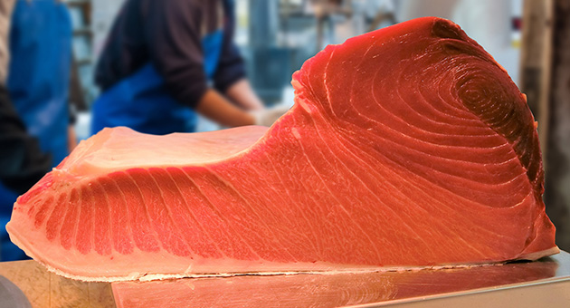 マグロの切り身
